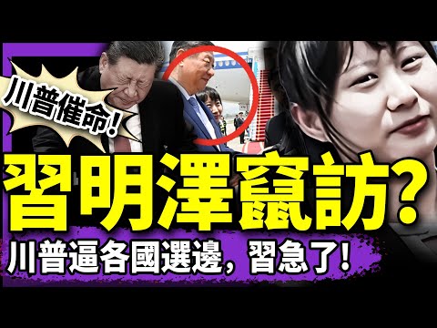 習明澤隨父竄訪？川普放滅共大招，北京啟動下跪程序？習近平新皮膚“特朗普”是啥梗？（老北京茶館/第1352集/2025/04/17）