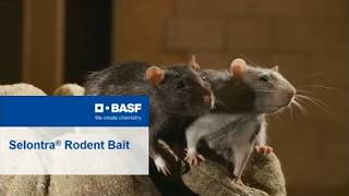 Selontra® Rodent Bait - PCT Virtual Rodent Conference