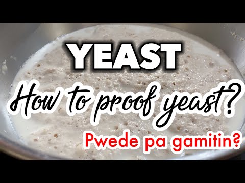 How to proof yeast | How to use yeast at malaman kung pwede pa