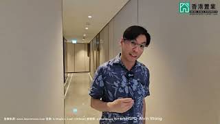 【靚盤快遞】泰峯開放式示範單位
