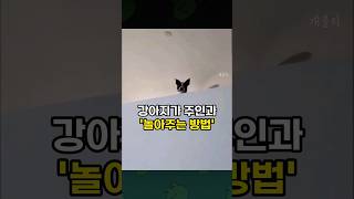 공을 던지자.. 녀석의 충격적인 반응