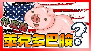 食安講習「什麼是〝萊克多巴胺、瘦肉精? 」( 講師 / 林家莘 營養師)