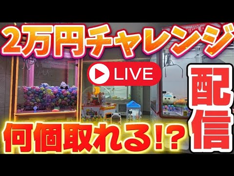 【2万円】クレーンゲームで何個取れるのか！？ #UFOキャッチャー #自宅ゲーセン #クレーンゲーム