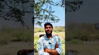 Easy content monetization facebook