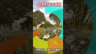 #순천만국가정원 #대한민국 #구석구석  1호 국가정원 #전라남도 #순천시 #박람회 #관광 #명소  #녹색쉼터 나의 우리역사 답사 하루 만보걷기 추천합니다.