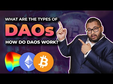 What Are The Types of Decentralized Autonomous Organizations? And How do DAOs Work?