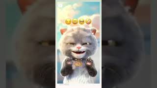 Funny cat face emoji (funny video) #catfaceemoji #funnycat #catemoji #funnycat #catfunnyface #funny