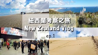 【紐西蘭】旅遊｜島灣必遊景點～滑沙體驗、90哩沙灘、旅遊交易會
