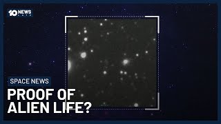 Astrophysicist Says Newly Discovered Space Object May Be Proof Of Alien Life | 10 News