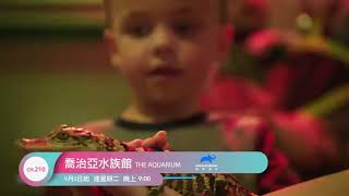 #長知識系列-9月帶你走進知識探索之旅