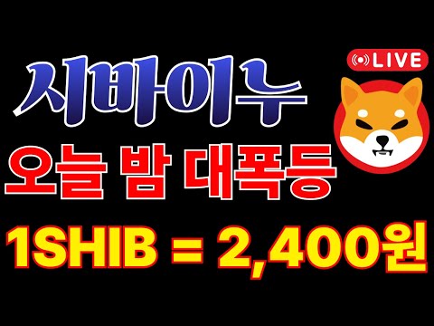 [시바이누] 오늘 밤 진짜 폭등 온다!