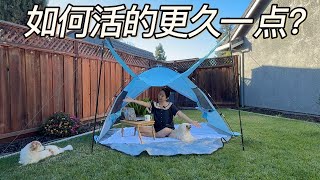 最近狗狗接连生病…我开始研究怎么活得更久一点｜抗衰老 & 长寿习惯分享