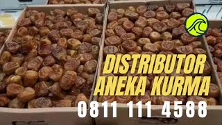 0811 111 4588 - Distributor Grosir Kurma Sukari Premium Original. Kurma Sukari HC NR Al Qasim Qassim
