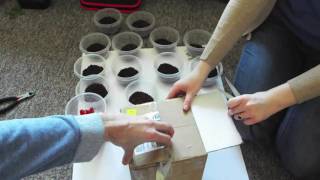 UNBOXING 13 OBTS!!! (P. Murinus)