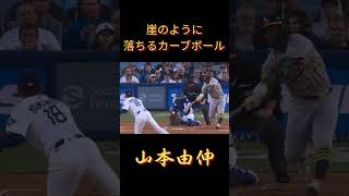 美しい落差#棒球 #野球 #baseball #mlb #japanbaseball #投手 #山本由伸 #道奇隊