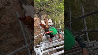Heart Touching And Horrible Liangshan Cliff Village Way 🥺 #mountaineering  #shorts #shortsfeed