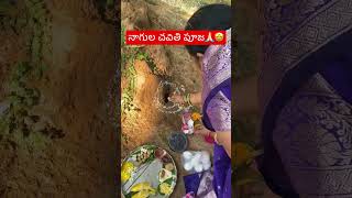 నాగుల చవితి పూజ🙏🏻🤩 #shorts #yt #subscribe #temple #nagulachavithi#chavithi#vizianagaram#festivals