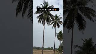 Parra Road Goa #parraroad #goa #goabeach