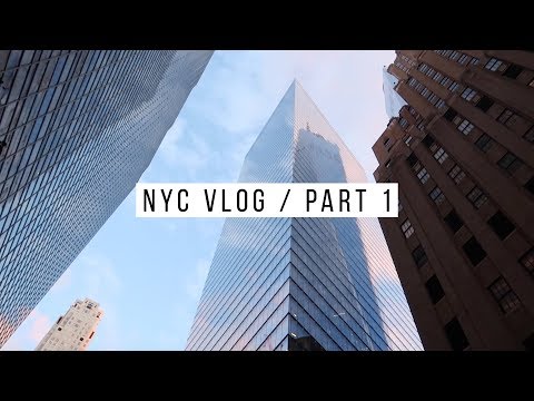 D and V in NYC - Part 1 | Battery Park, World Trade Center, Strand Books, Vessel, etc.
