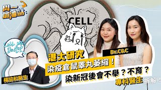 尿頻！尿急！確診後仲會不舉、不育？港大發現染疫倉鼠睪丸萎縮，人類會嗎？專科醫生拆解新冠3大泌尿後遺症！｜《周一加油站》｜Call Me Doctor ｜etnet
