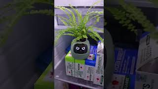 this smart robot takes care of the plants and I call it cutebuddy.top 😍