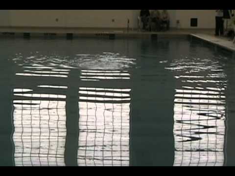CassieSrAssociation.avi