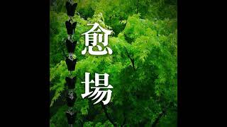 【愈场早知道】孤独是真正回归自我（1）