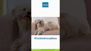 Tackle Every Mess With VOOKI Hard Stain Remover