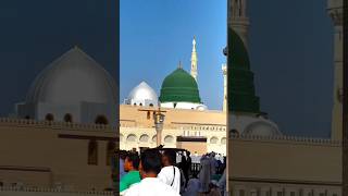 #allah #duet #madeena #ajmerkhwaja #love #madeen #sufisaint #unfrezzmyaccount #makka #sufishrine