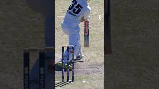 Bail jumps up - and lands back down in place!!💀 #sheffieldshield