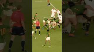 remember this #sports #worldcup #springboks2024