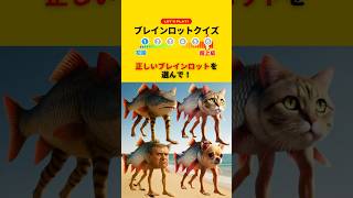 【ブレインロットクイズ】正しいブレインロットを選んで！　#brainrot #ブレインロット #クイズ #暇つぶし #ミニゲーム