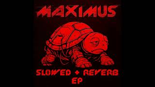 MAXIMUS - BASS BASS BASS (Slowed & Reverb) #Shorts #YouTubeShorts #clubmusic #banger #djlife #bass
