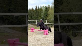 Ella and Black JUMPING💥 #shorts #horse #pony #equestrian