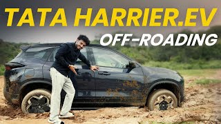 Tata Harrier EV 2025 Full Review | Real-World Drive, Features, Build & Verdict