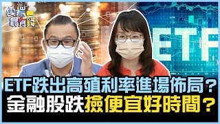 ETF跌出高殖利率進場佈局？ 金融股跌 撿便宜好時間？｜雲端最有錢EP262精華