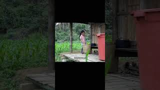 家庭負債困境下的詩玉，一個人孤獨前行，真實感人故事！
