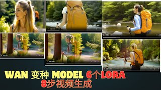wan模型变种,6个lora     8 steep 视频生成 ,快,准,稳