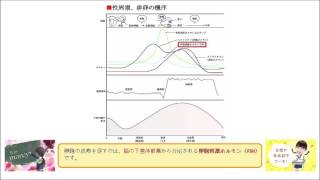 プロゲステロンは、 子宮内膜を増殖・肥厚させる。 （○or×）