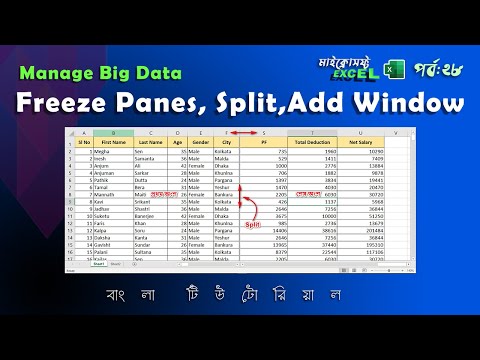 Freeze Panes, Split, New Window | Better Option Excel Part 28