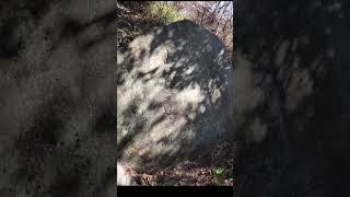 【奇跡】を呼び込む開運動画☆【良縁】【病即消滅】【衆生済度】【先祖供養】日蓮上人の歩んだ道☆ 本当の道が見つかる。本当の願いがはっきりわかる。願いを叶える力がわいてくる。象の鼻#大開運 #開運
