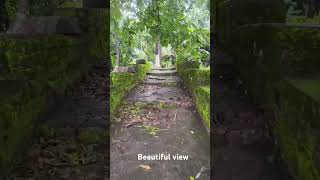 Campsite view in Mumbai || camping vlogs || #vlogs #travel #campping #dailyvideo #nature
