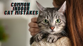 If you have an indoor cat, never do this!