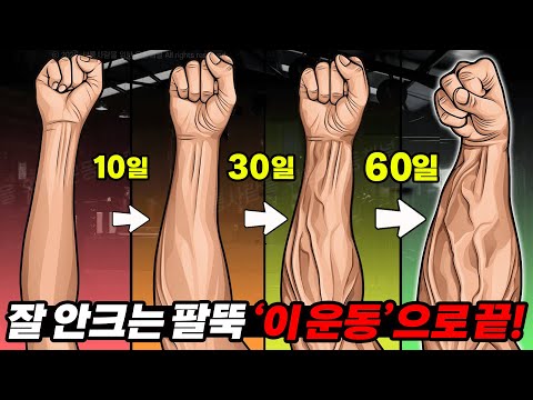 왜 바보같이 팔뚝을 못키우지...? 90%가 모르는 전완근 가장 빠르게 키우는법!? #전완근 #팔근육