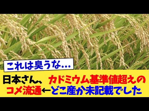 日本さん、カドミウム基準値超えのコメ流通←どこ産か未記載でした【2chまとめ】【2chスレ】【5chスレ】