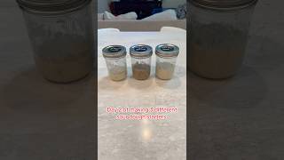 Lets Bake! #sourdough #sourdoughstarter #sahm #cookingfromscratch #homemade #bakingbread #homebaking