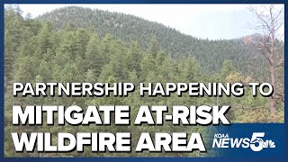 Partnership happening to mitigate at-risk wildfire area in Colorado Springs