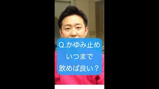 宮田動物病院【かゆみ止めはいつまで飲めば良いの？】#shorts #切り抜き