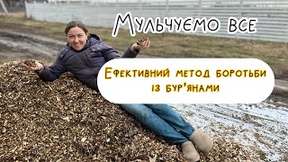 Мульчування саду щепою | яку мульчу вибрати🌱✨