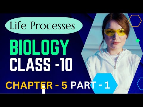 Chapter 5  part 1 Life processes class 10 Biology NCRT Science